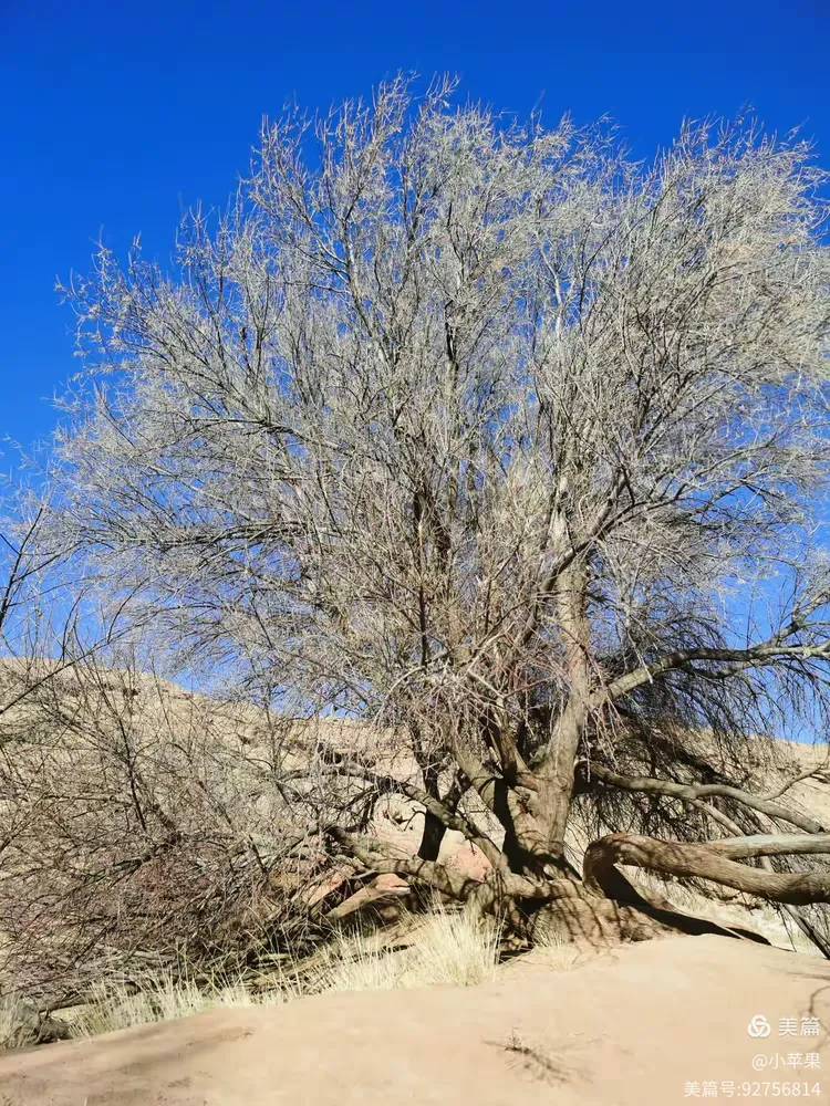 元旦游金昌泉沟